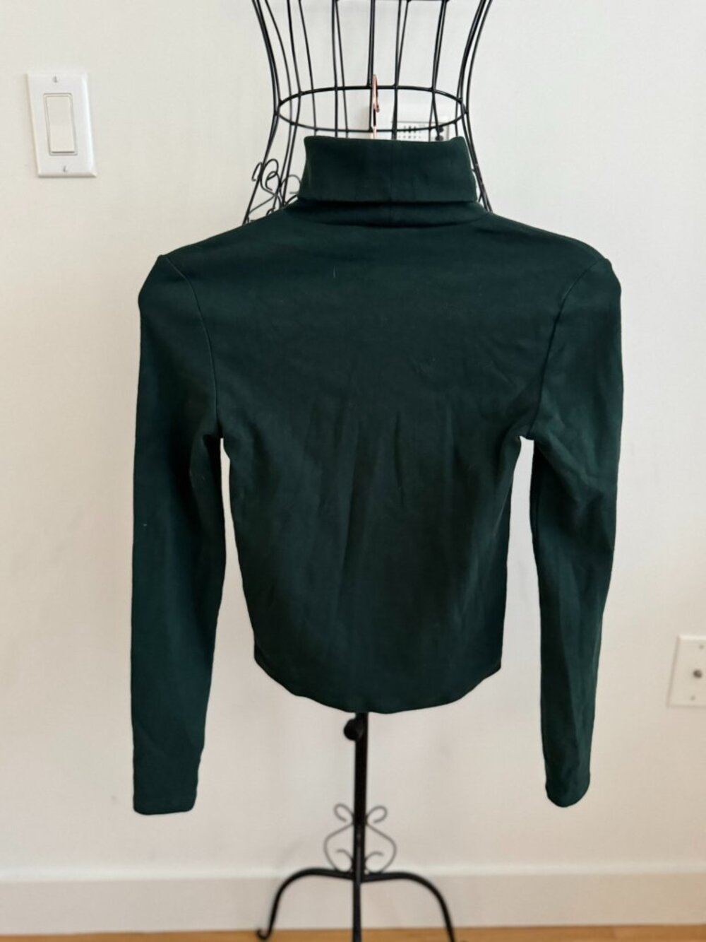 Aritzia Sunday Best BestHug™ Little Ribbed Turtleneck Scarab